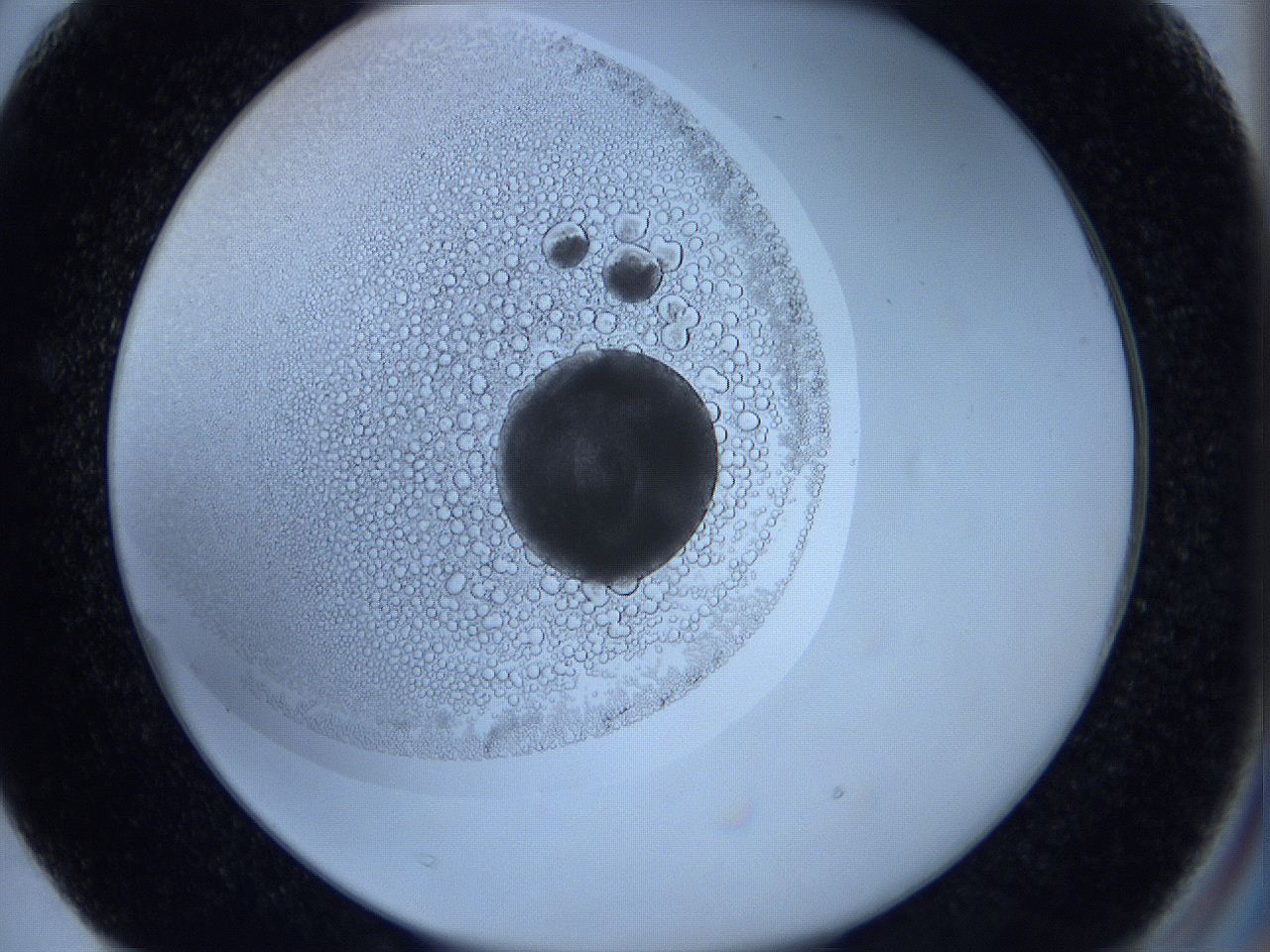 0627_F3_ImagerDefaults_3.jpg