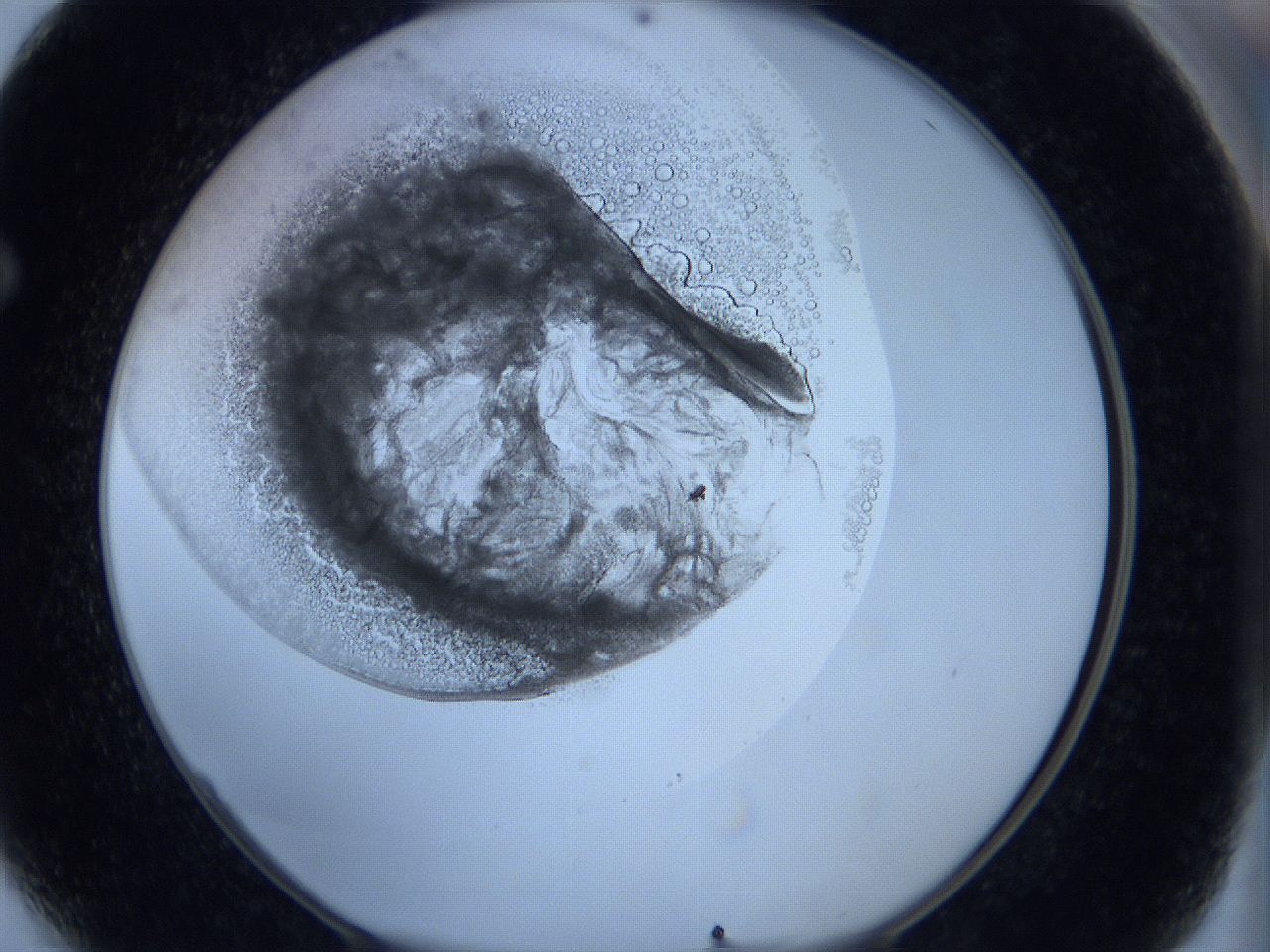 0627_F4_ImagerDefaults_3.jpg