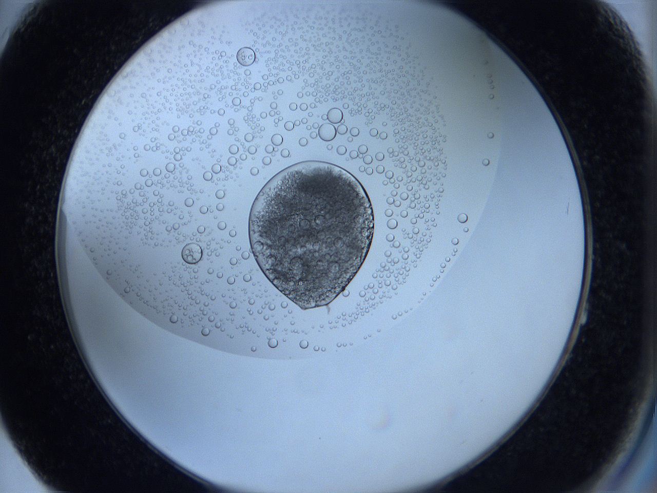 0627_F4_ImagerDefaults_5.jpg