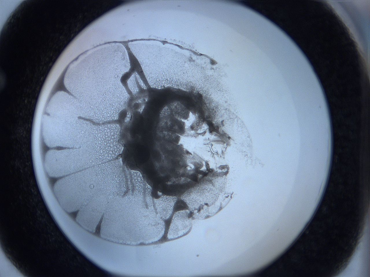0627_F6_ImagerDefaults_3.jpg