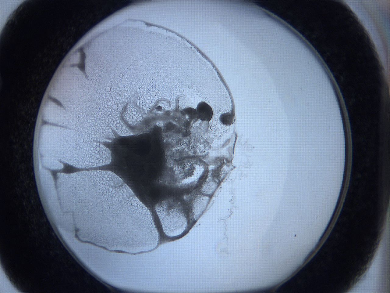 0627_F7_ImagerDefaults_3.jpg