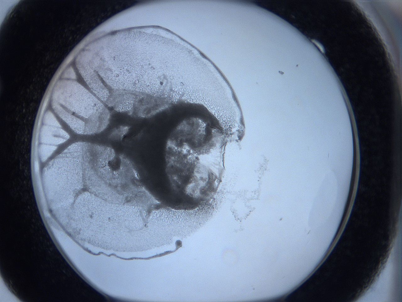 0627_F9_ImagerDefaults_3.jpg