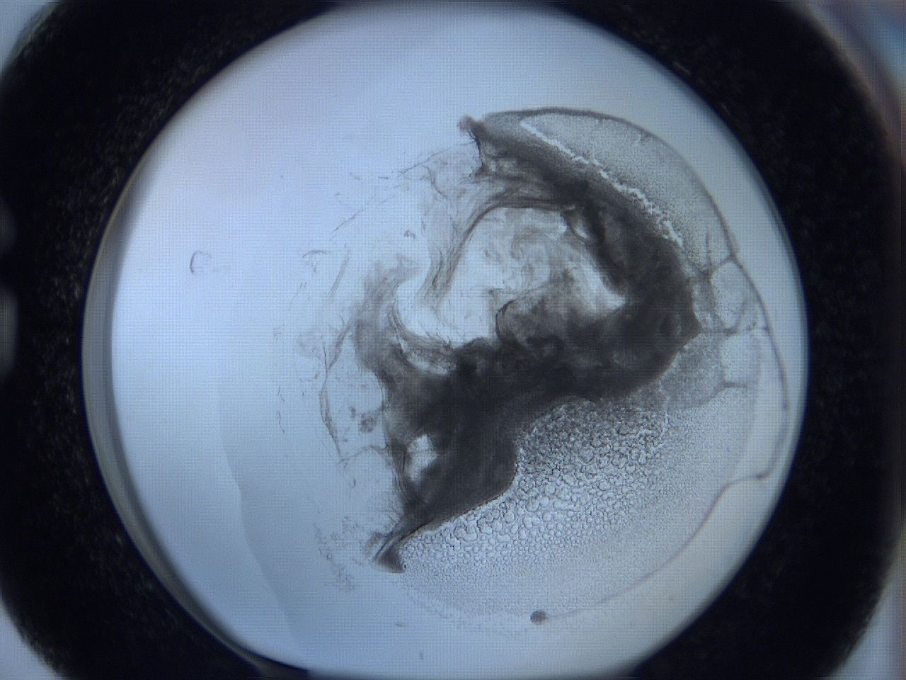0627_G4_ImagerDefaults_3.jpg