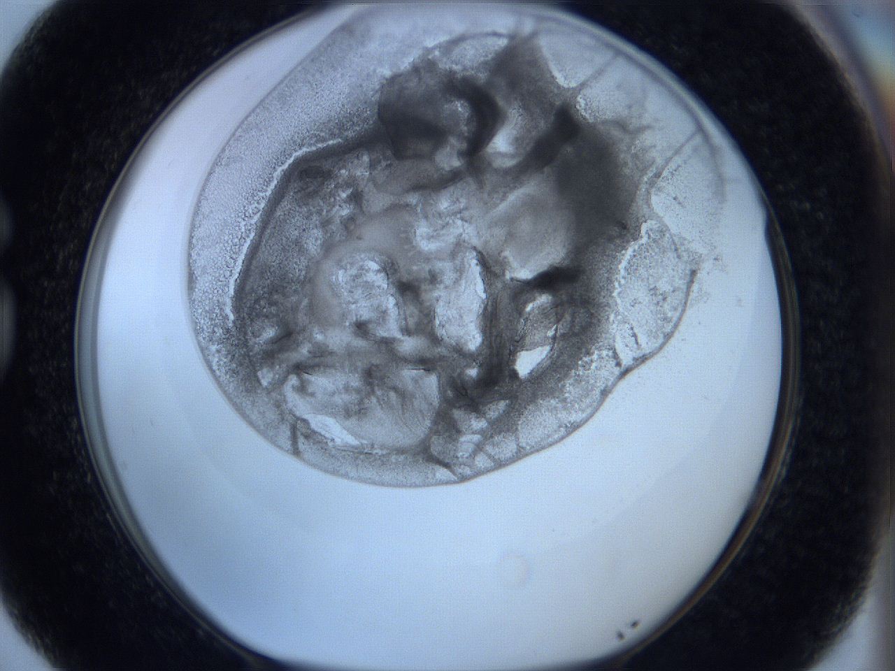 0627_G5_ImagerDefaults_3.jpg