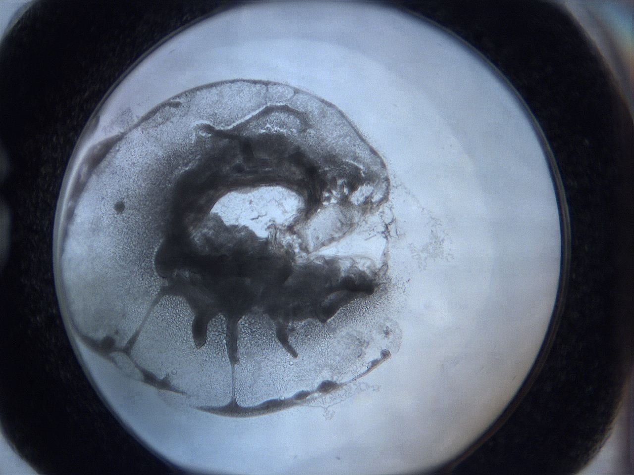 0627_G6_ImagerDefaults_3.jpg