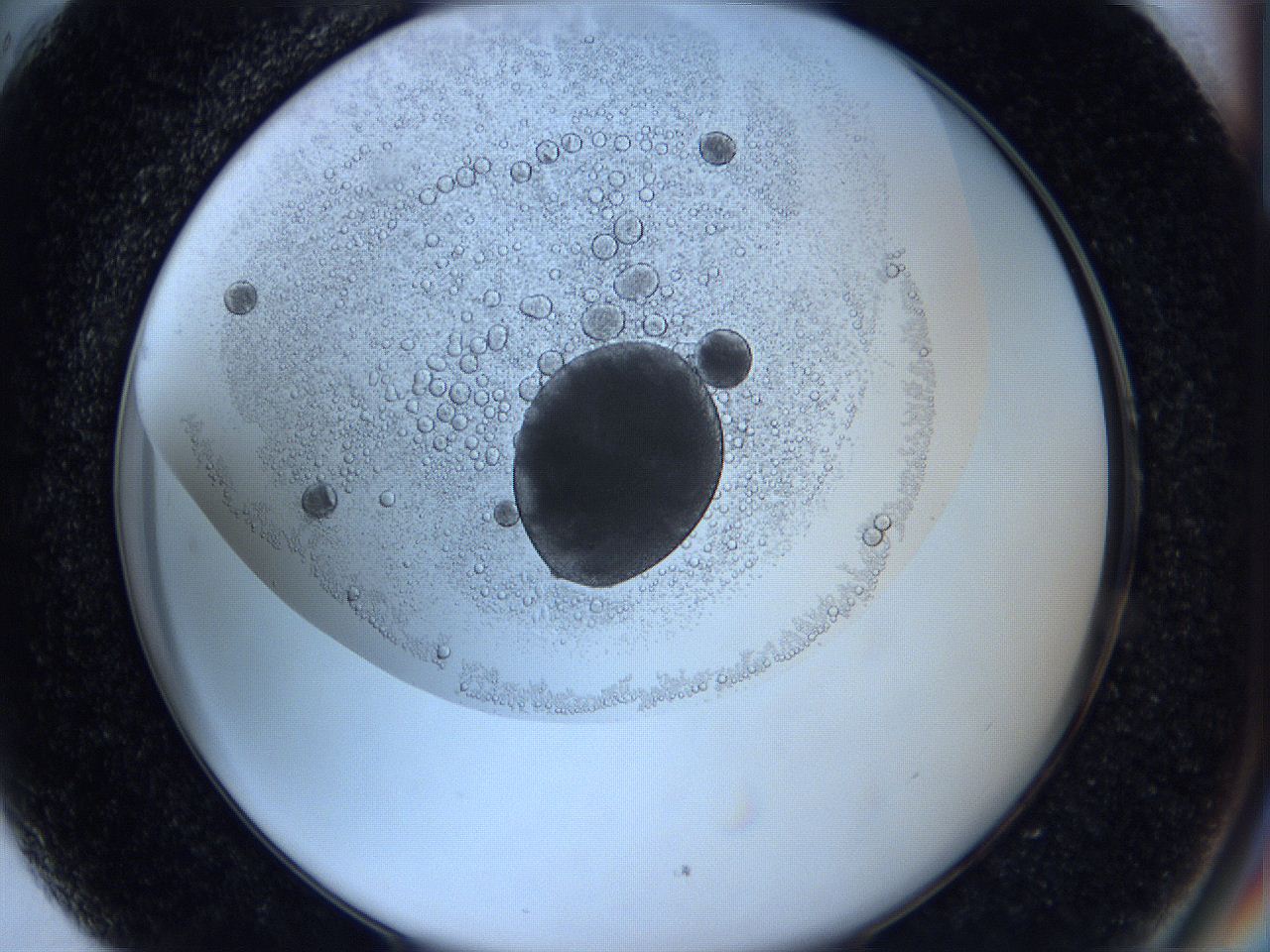 0627_H5_ImagerDefaults_3.jpg