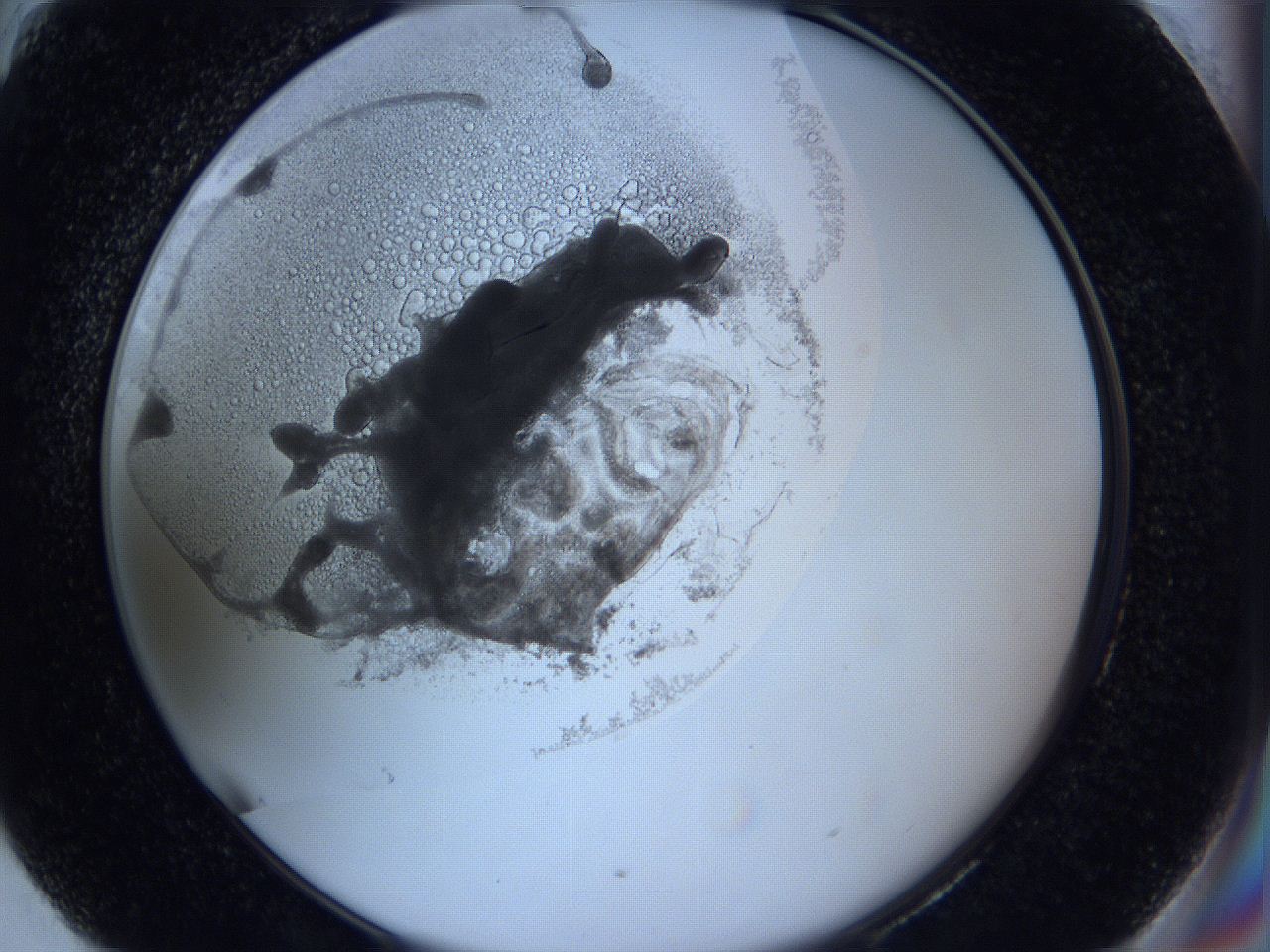 0627_H6_ImagerDefaults_3.jpg