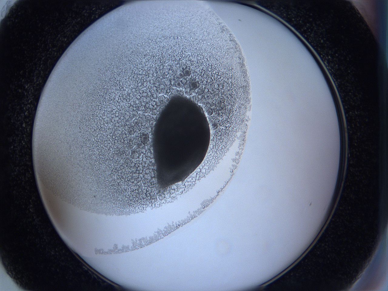 0627_H8_ImagerDefaults_3.jpg