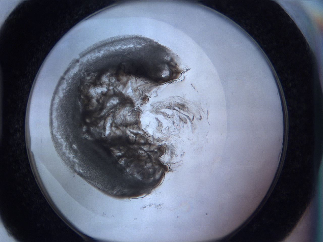 0627_H9_ImagerDefaults_3.jpg