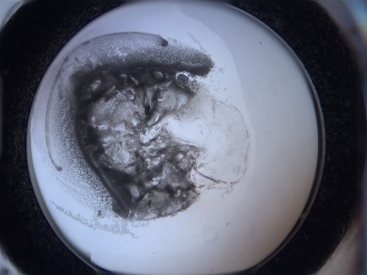 0627_H11_ImagerDefaults_3.jpg