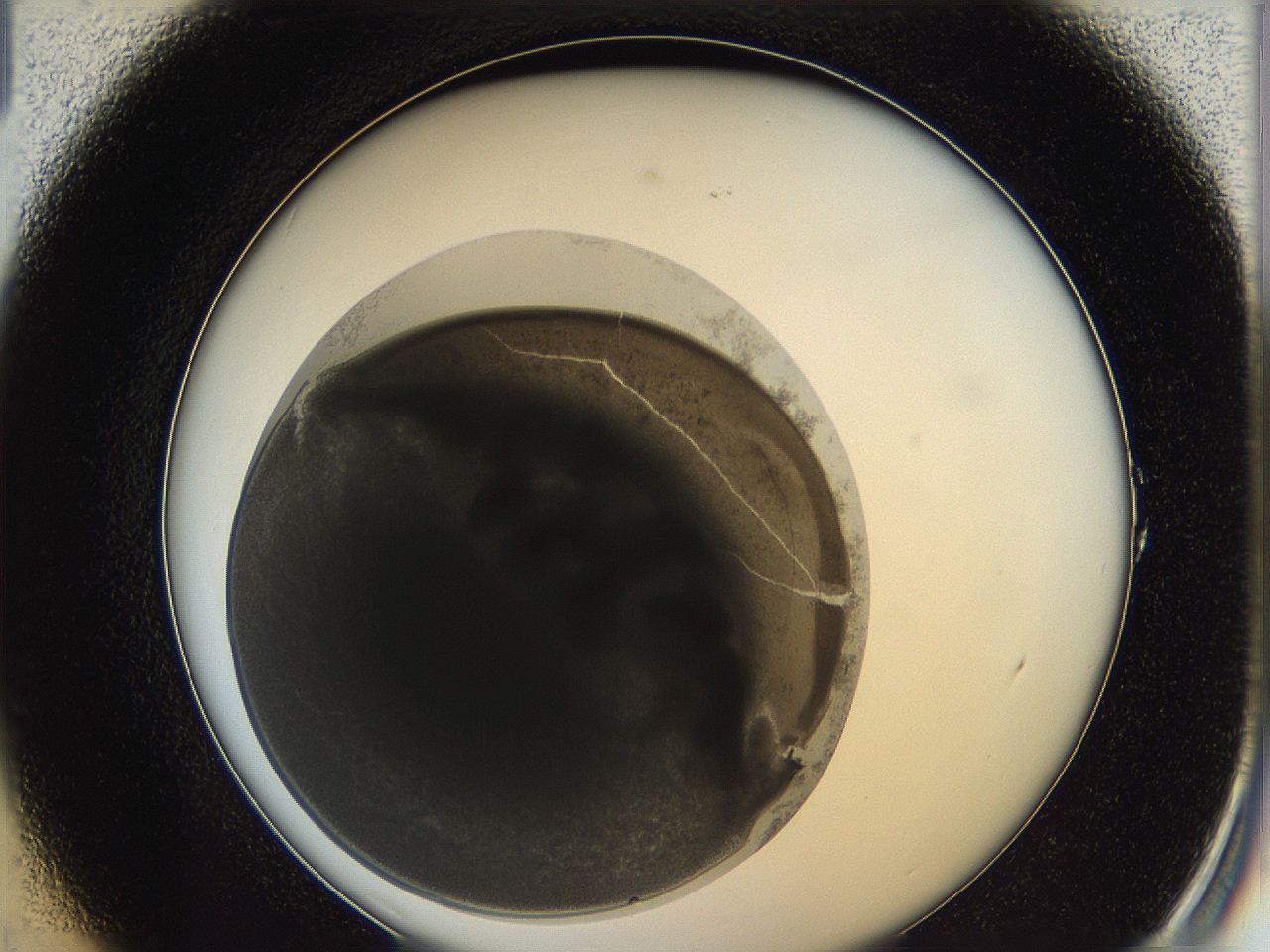 0628_A1_ImagerDefaults_3.jpg