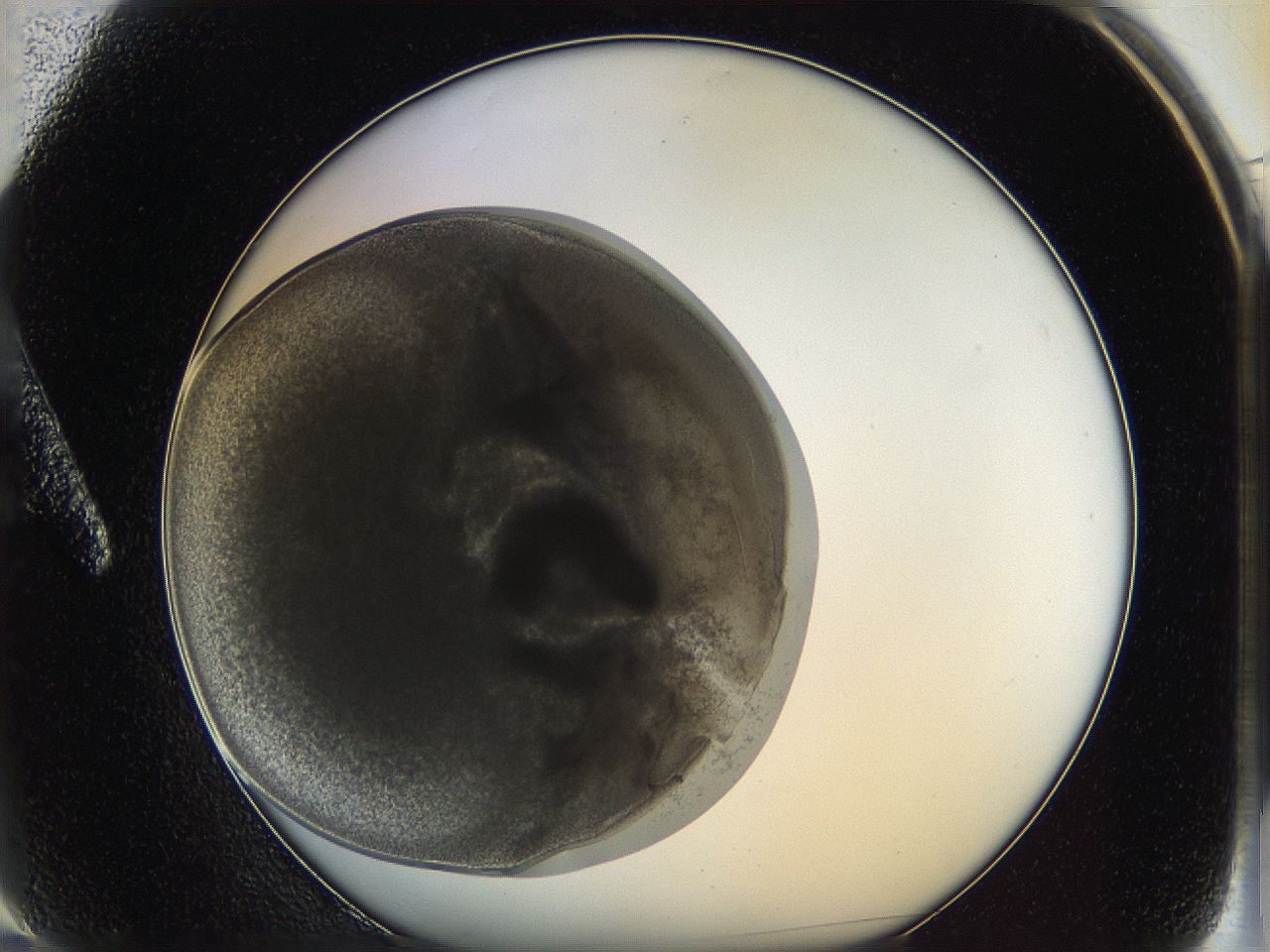 0628_A2_ImagerDefaults_3.jpg