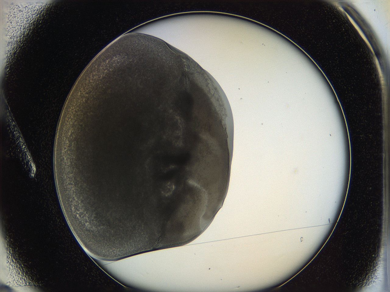 0628_A3_ImagerDefaults_3.jpg