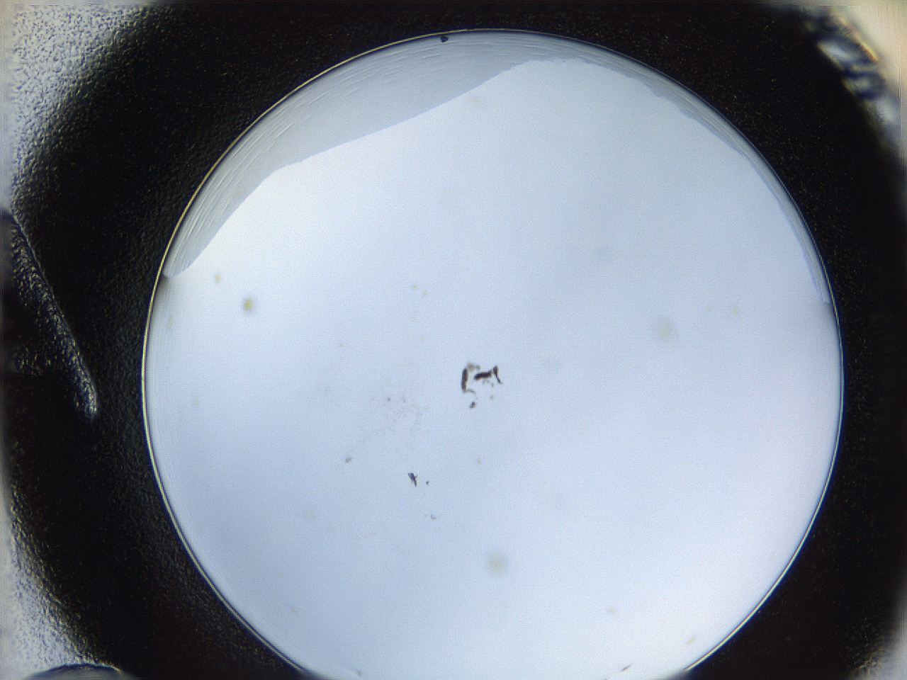 0628_A12_ImagerDefaults_0.jpg