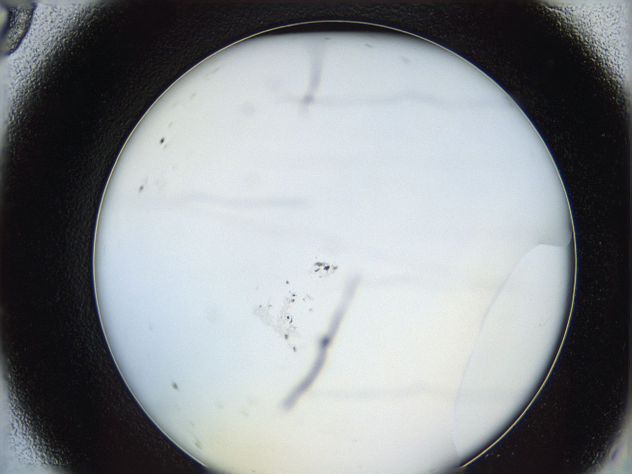 0628_A9_ImagerDefaults_2.jpg