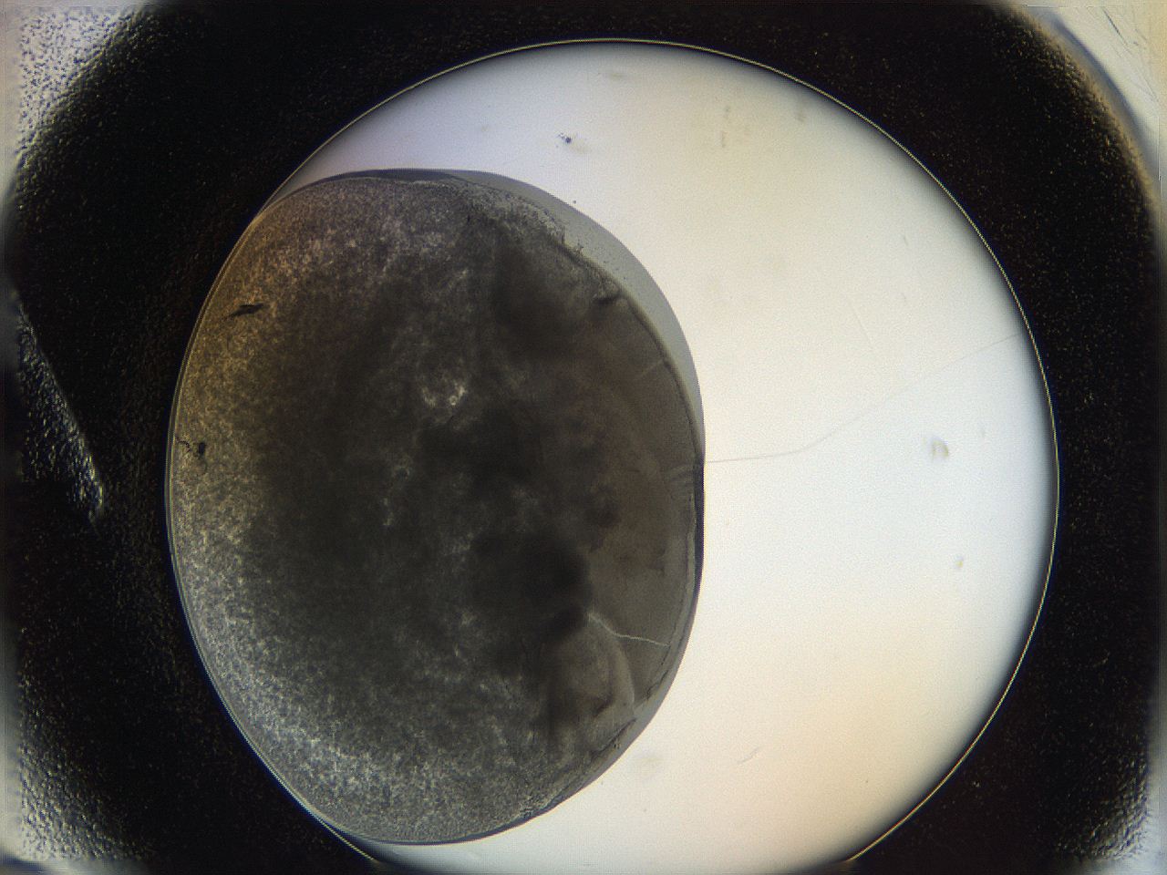 0628_A6_ImagerDefaults_3.jpg