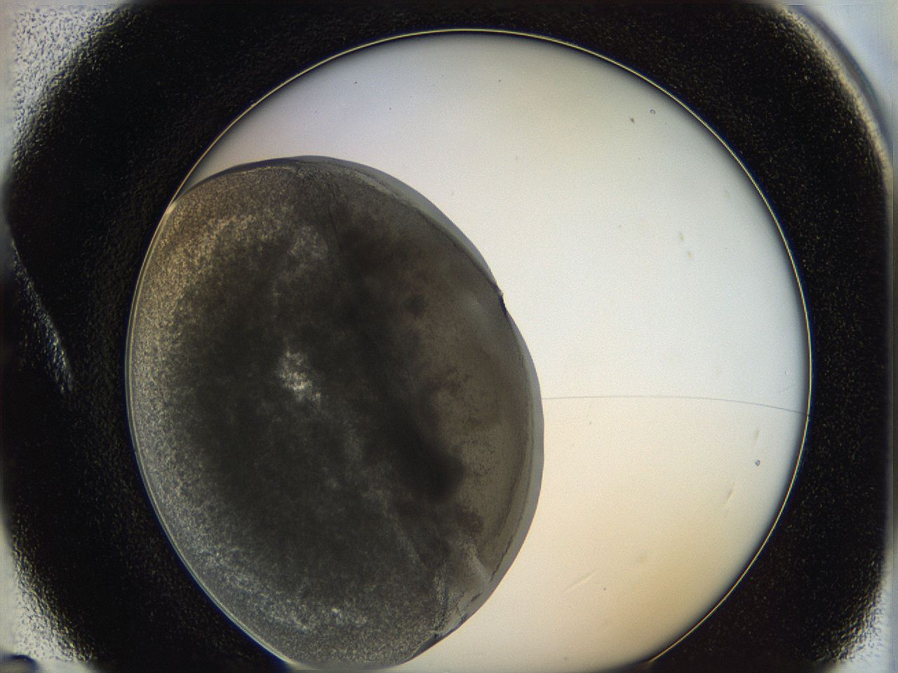 0628_A5_ImagerDefaults_3.jpg