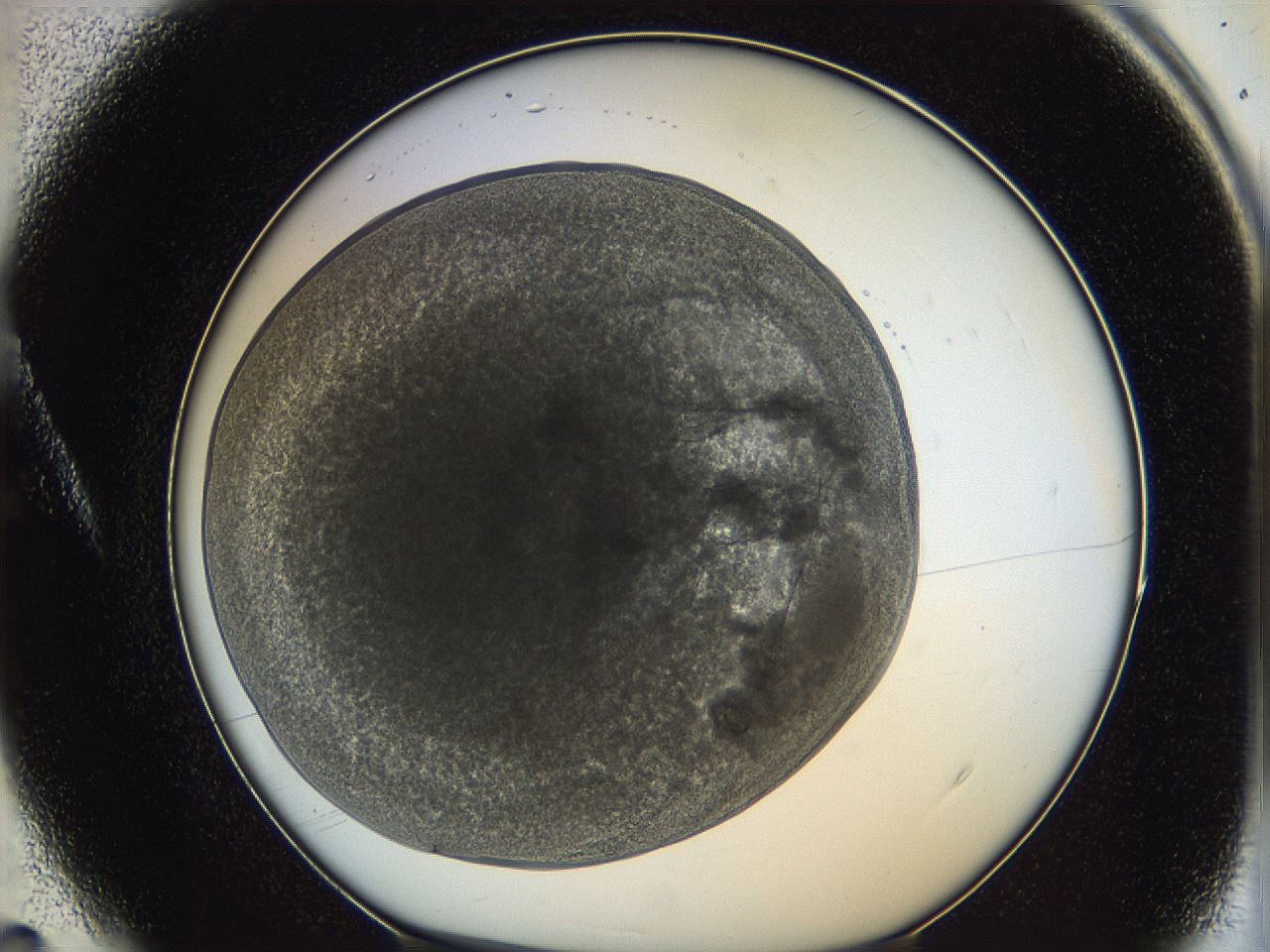 0628_A4_ImagerDefaults_3.jpg