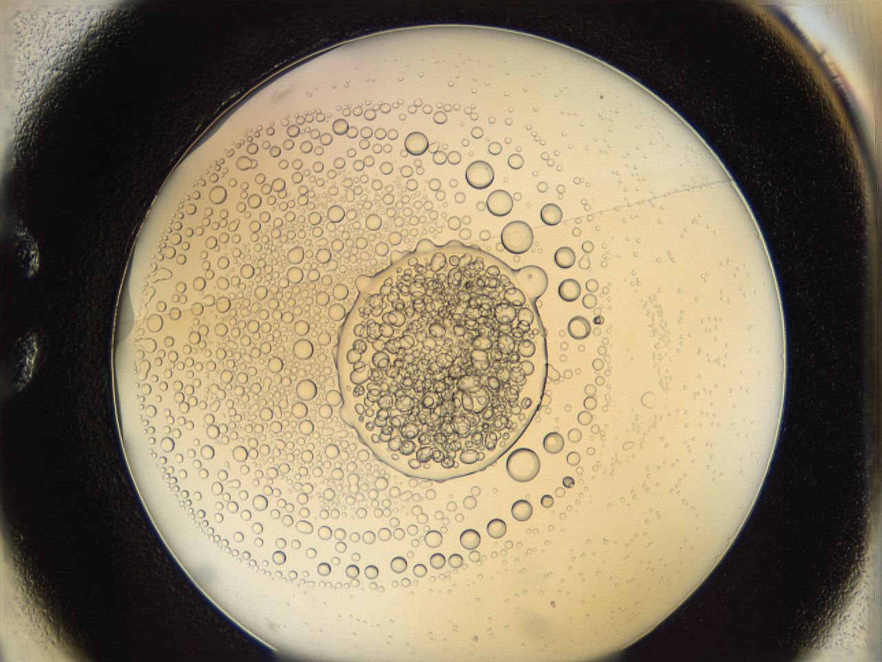 0628_C1_ImagerDefaults_5.jpg