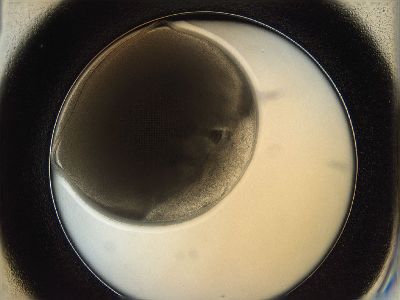 0628_C1_ImagerDefaults_3.jpg