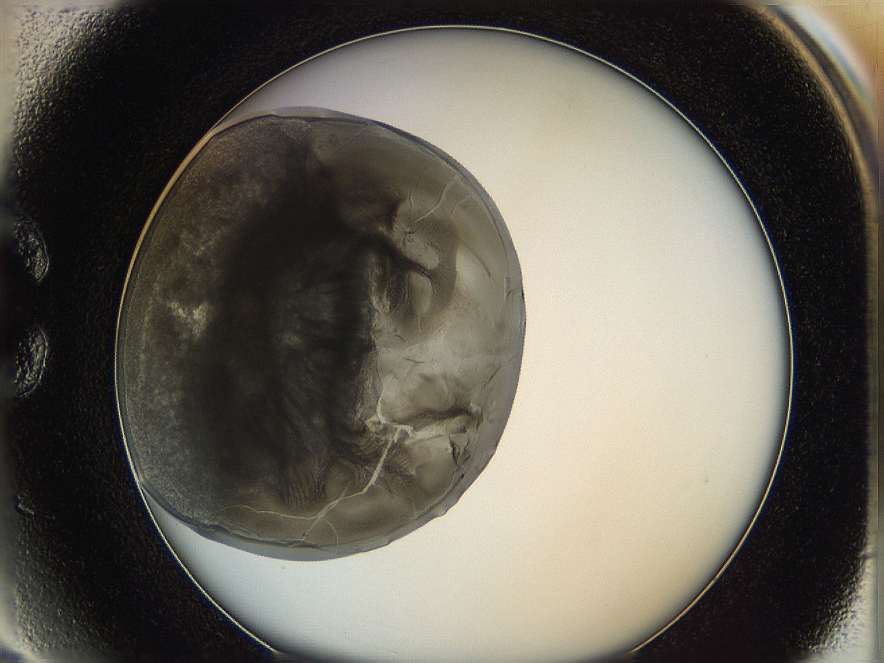 0628_C3_ImagerDefaults_3.jpg