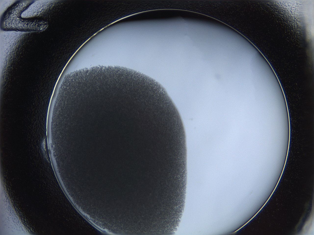 0628_B12_ImagerDefaults_4.jpg