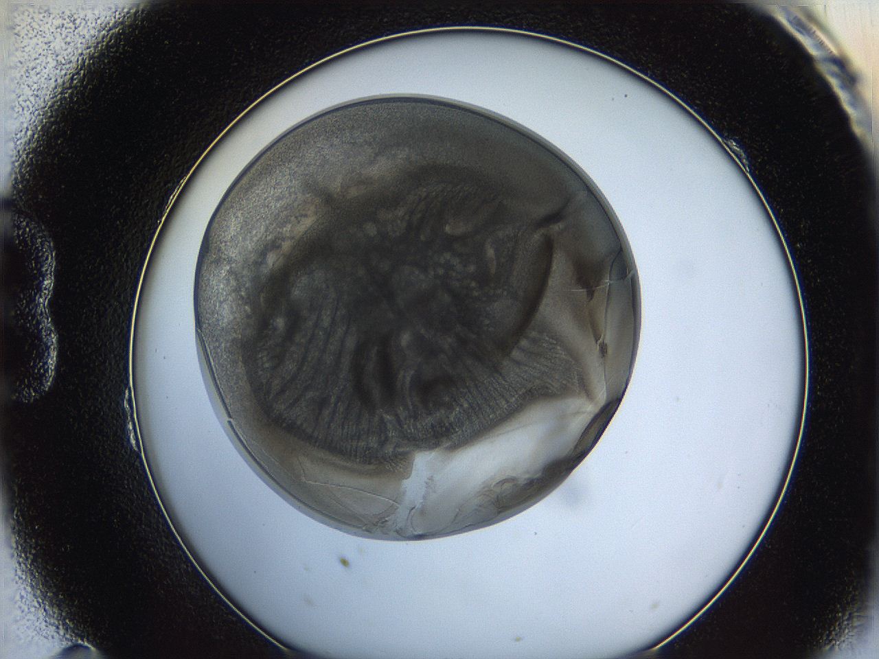 0628_B11_ImagerDefaults_3.jpg