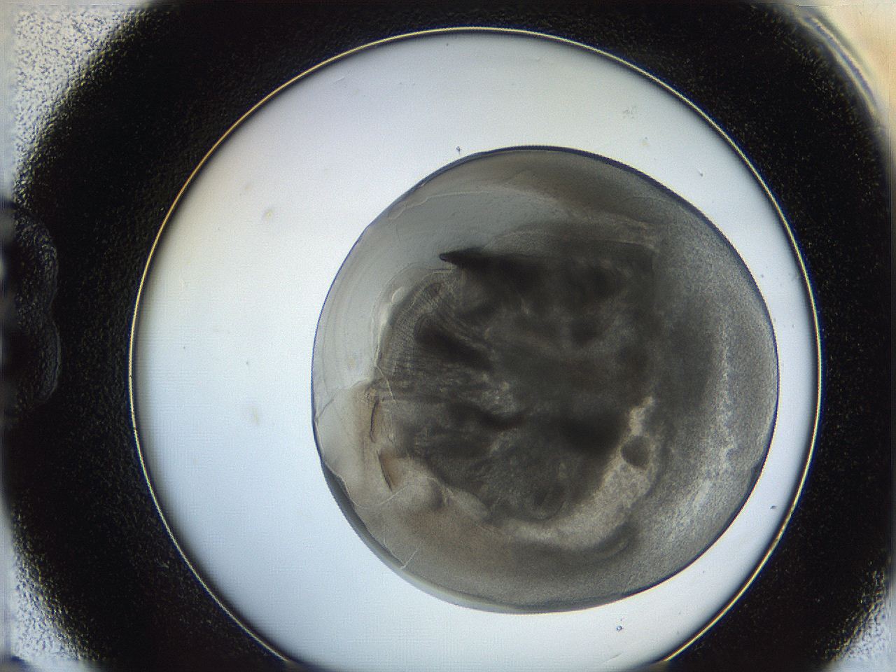 0628_B9_ImagerDefaults_3.jpg
