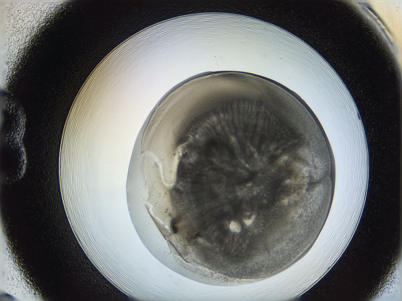 0628_B8_ImagerDefaults_3.jpg