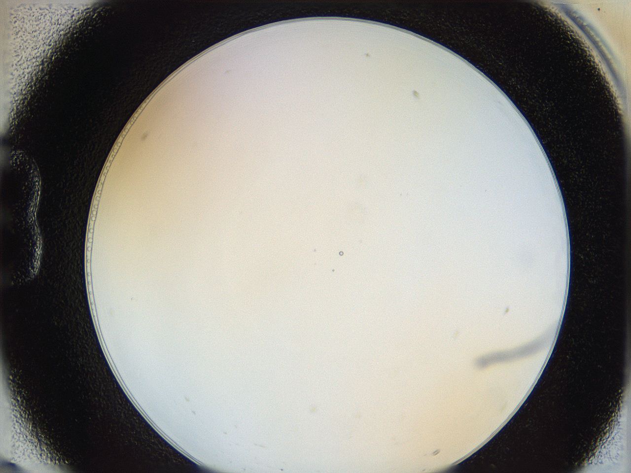 0628_B6_ImagerDefaults_5.jpg