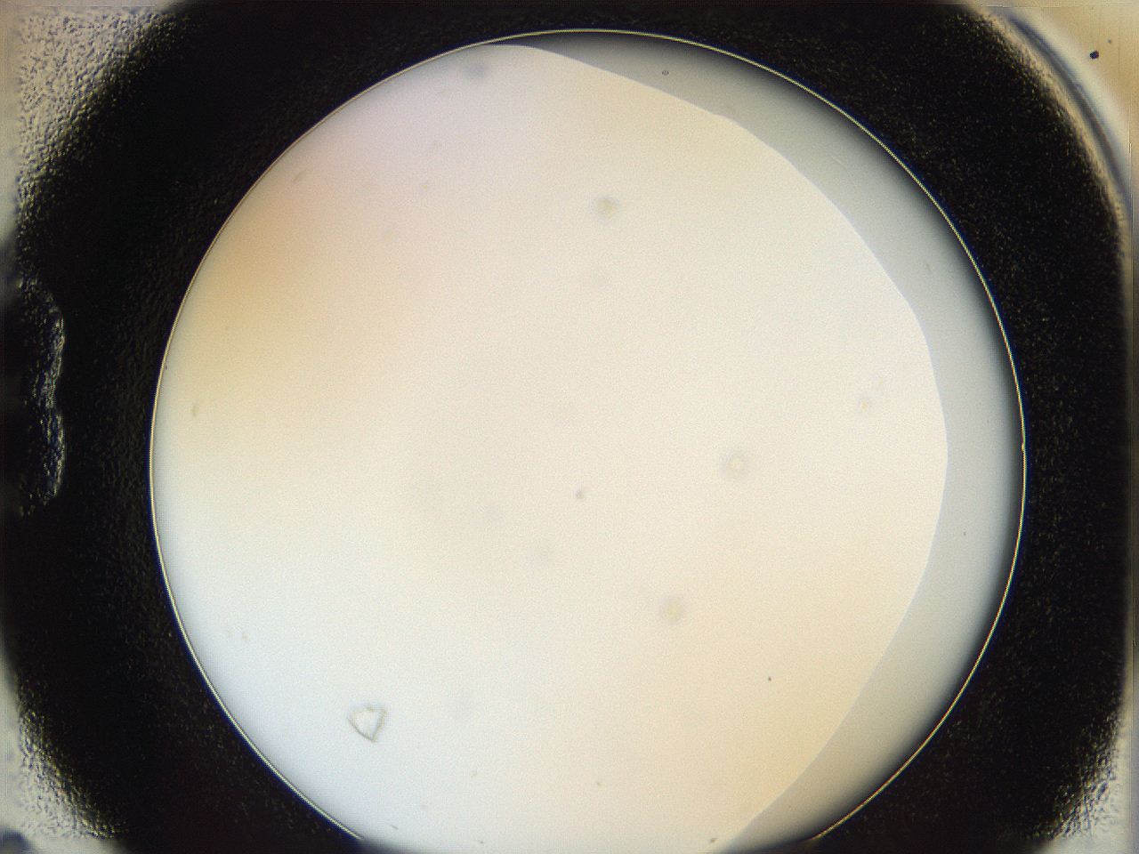 0628_B4_ImagerDefaults_0.jpg