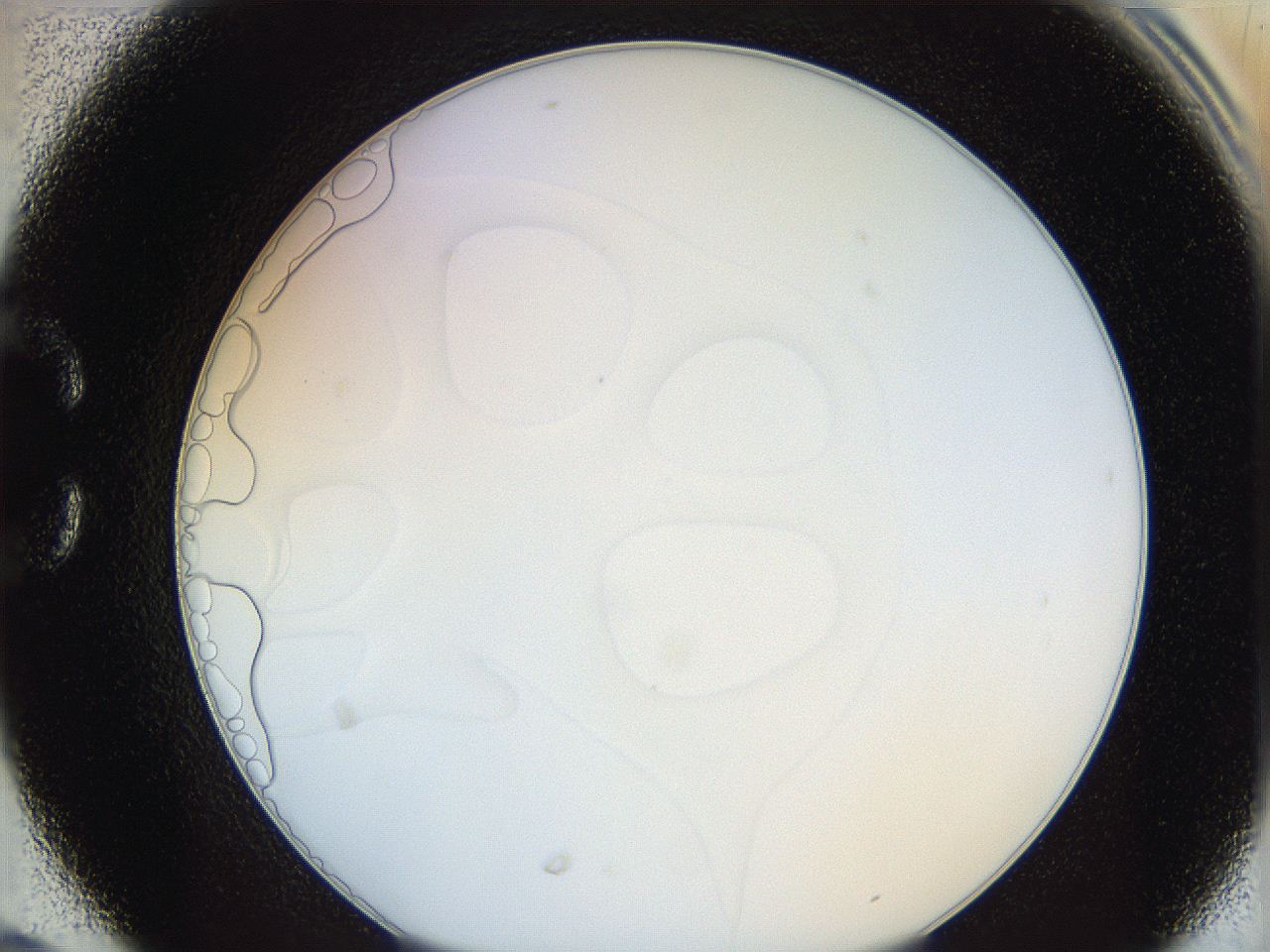 0628_C6_ImagerDefaults_0.jpg