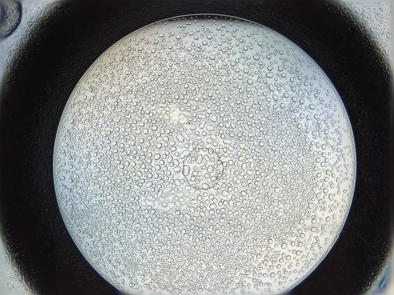 0628_C6_ImagerDefaults_5.jpg