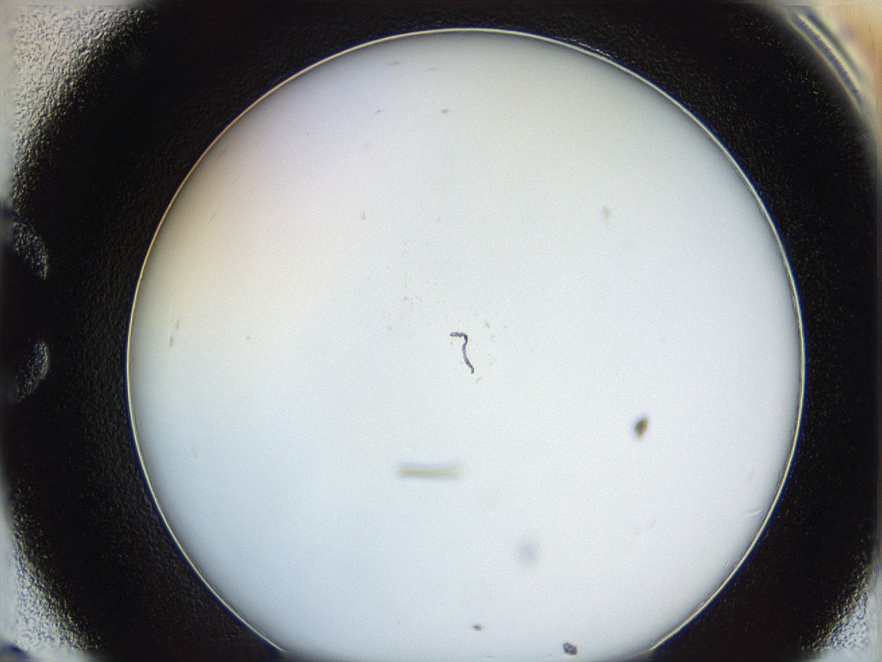 0628_C8_ImagerDefaults_0.jpg