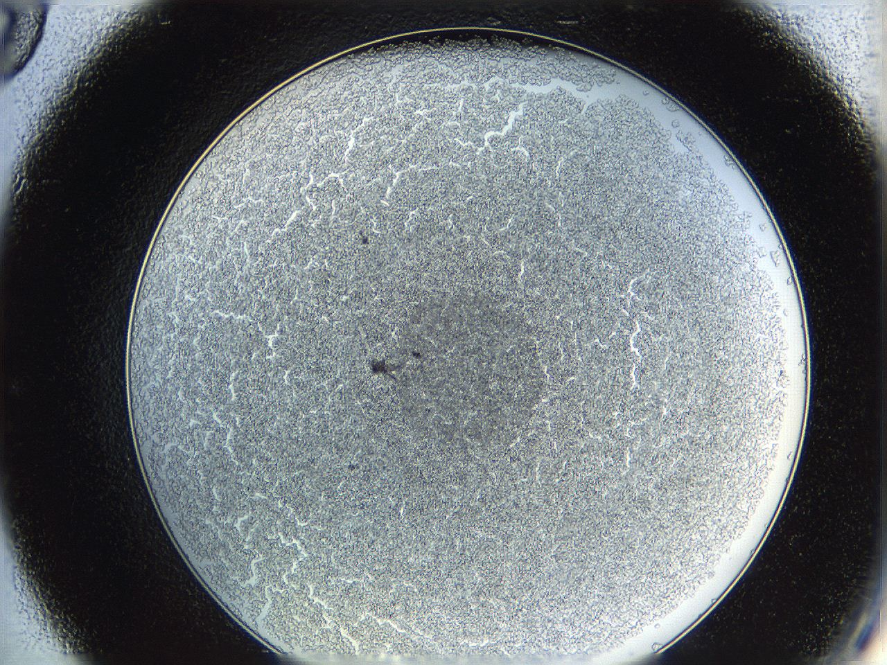 0628_C9_ImagerDefaults_4.jpg