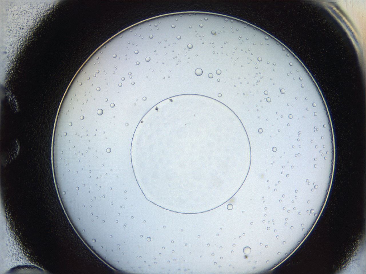 0628_C10_ImagerDefaults_5.jpg