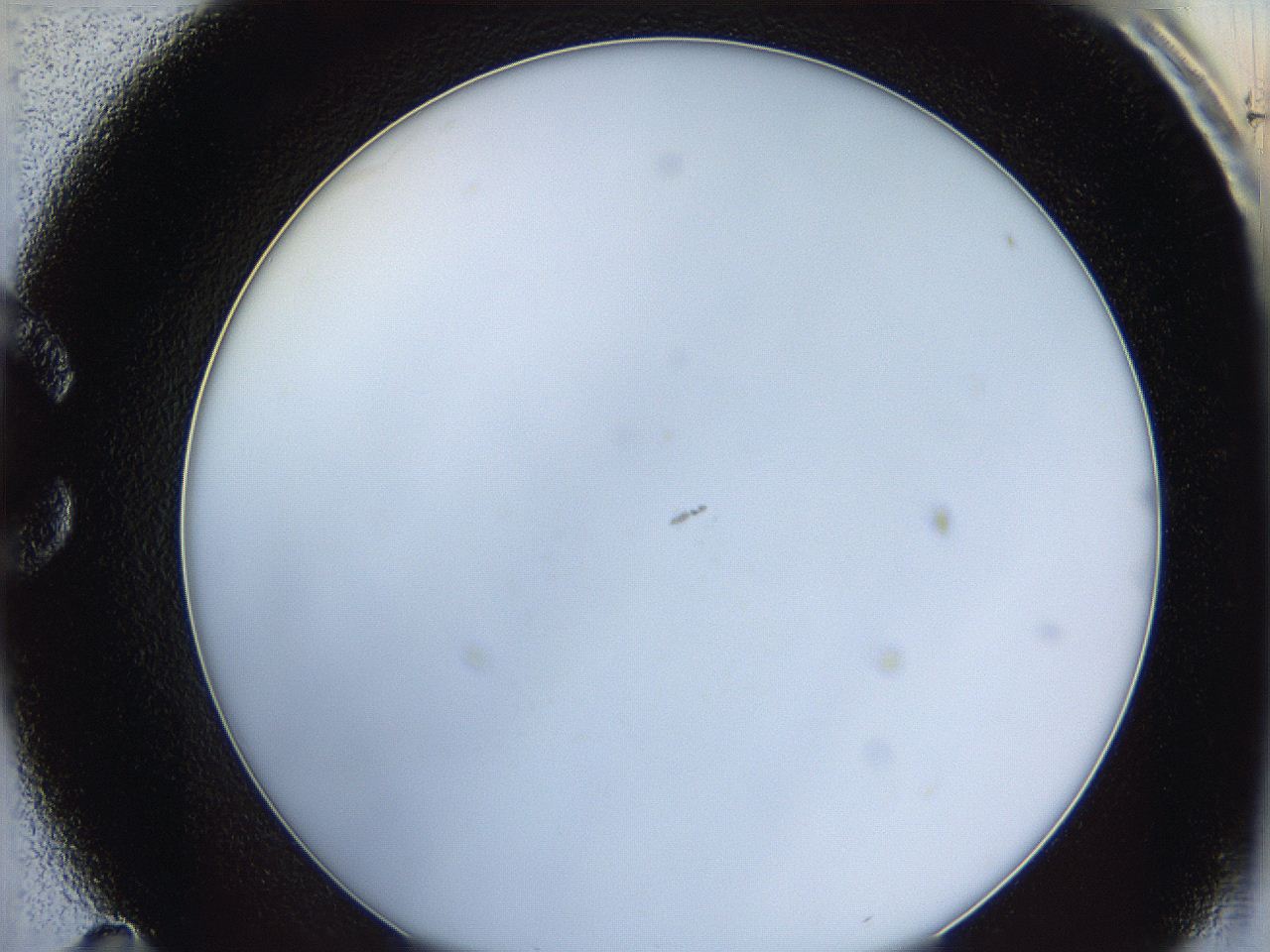 0628_C11_ImagerDefaults_0.jpg