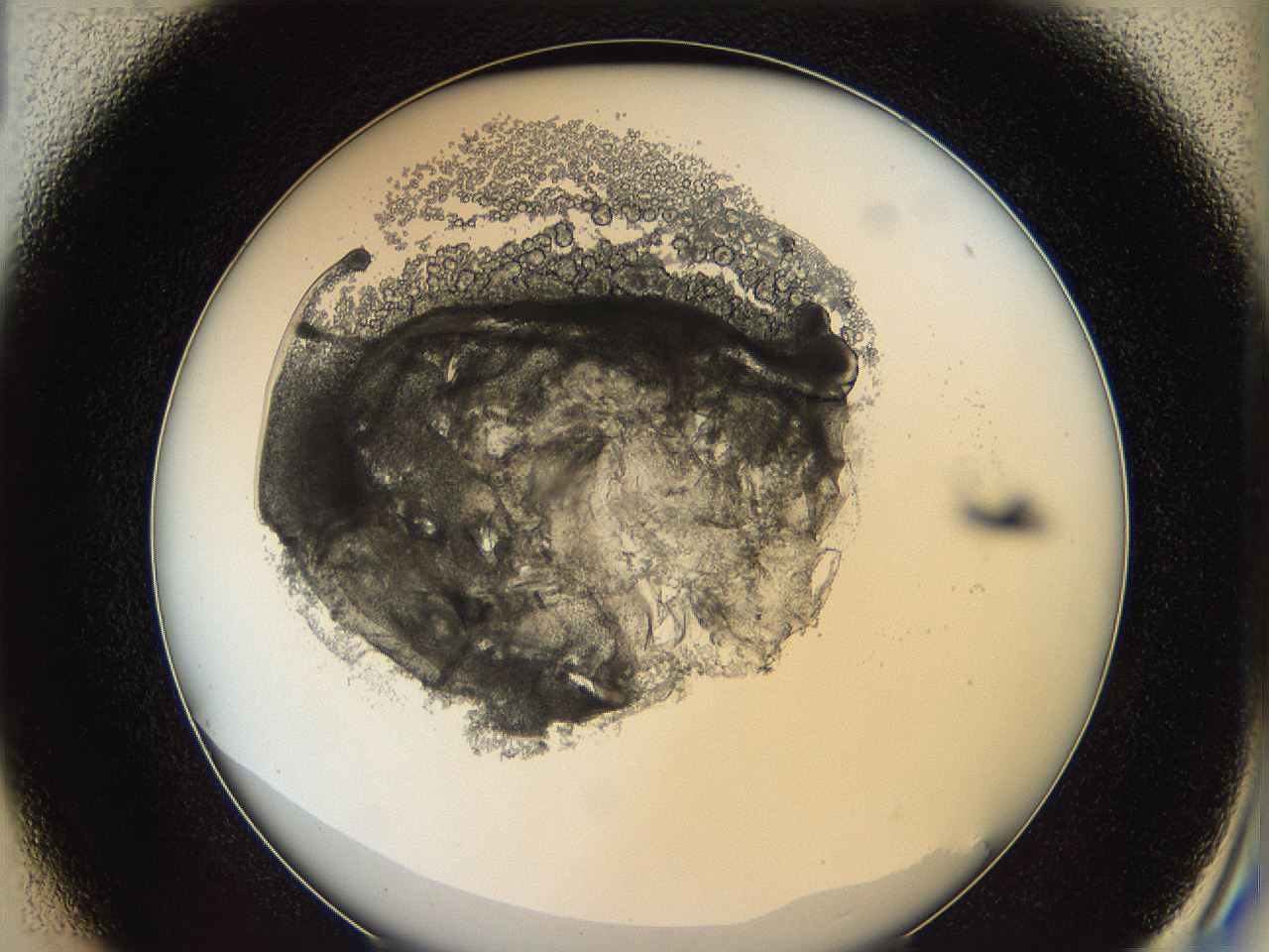 0628_D1_ImagerDefaults_3.jpg