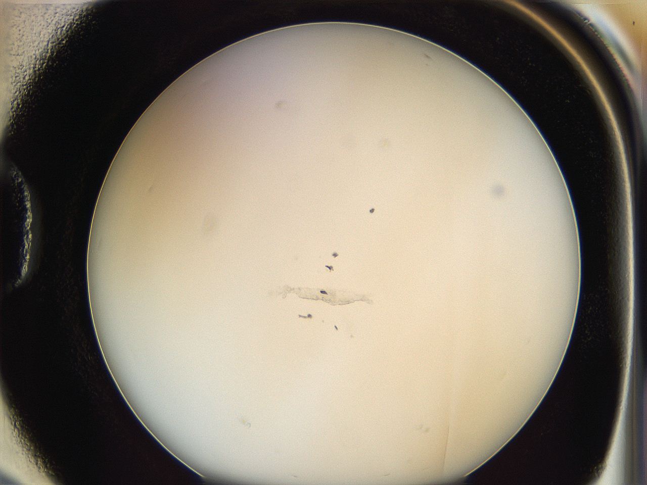 0628_D2_ImagerDefaults_2.jpg
