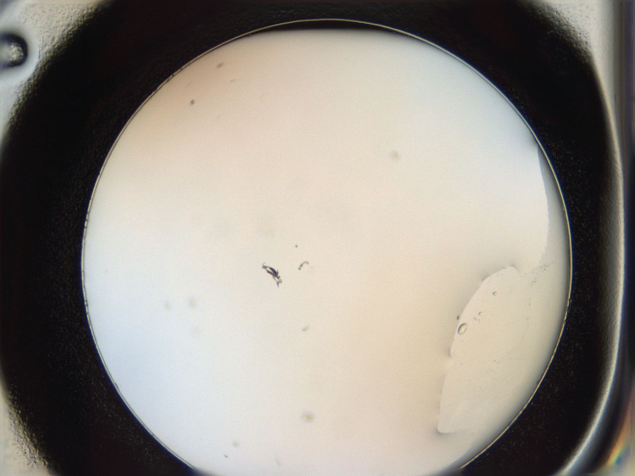 0628_D2_ImagerDefaults_0.jpg