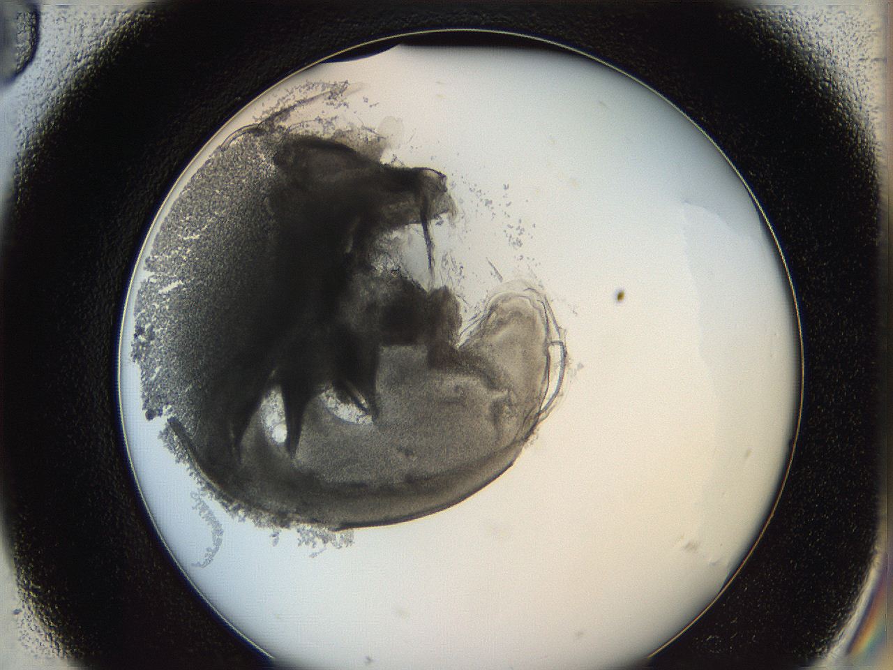 0628_D3_ImagerDefaults_3.jpg