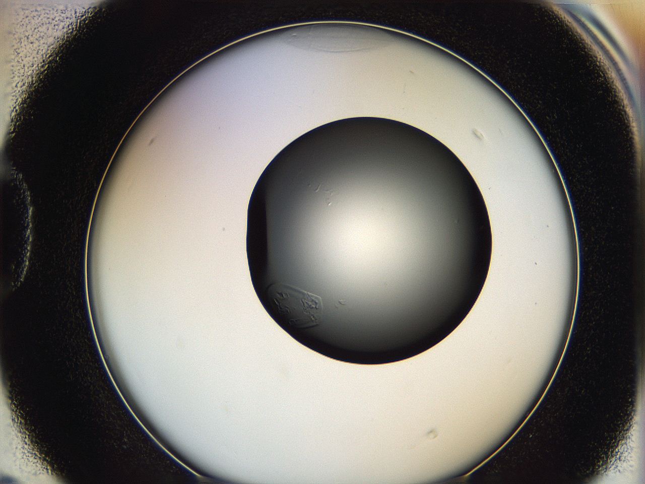 0628_D4_ImagerDefaults_0.jpg