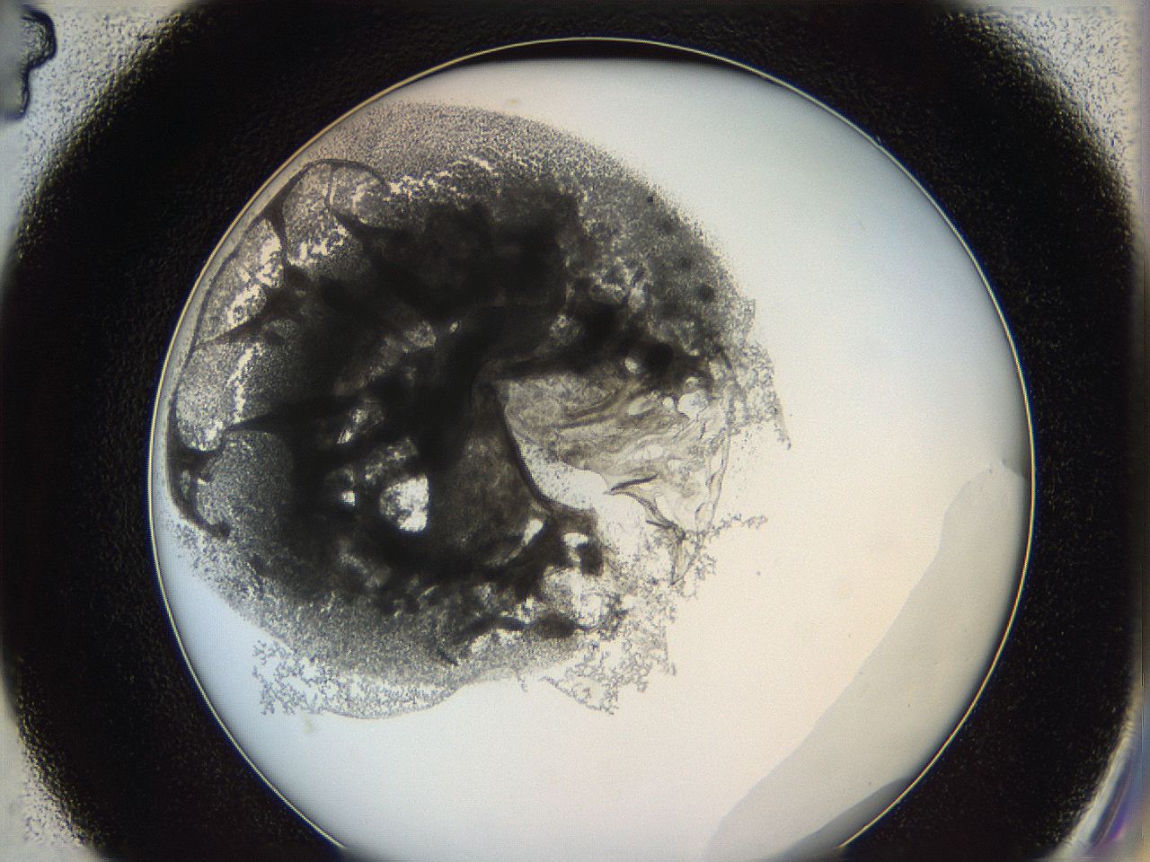 0628_D4_ImagerDefaults_3.jpg