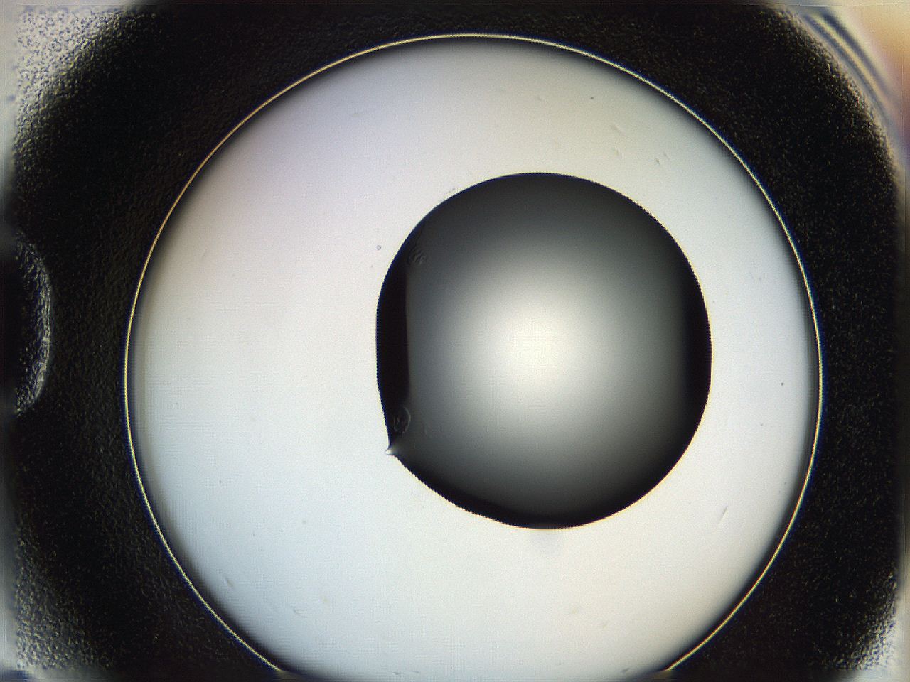 0628_D5_ImagerDefaults_0.jpg