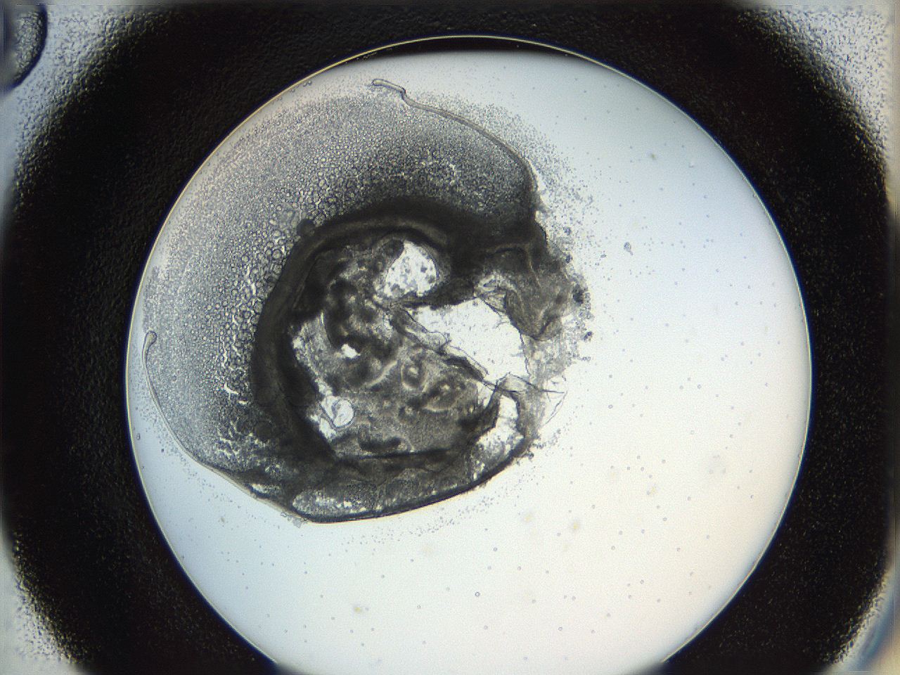 0628_D5_ImagerDefaults_3.jpg