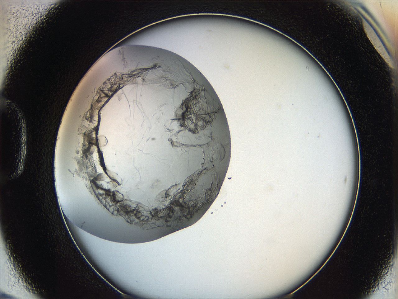 0628_D6_ImagerDefaults_3.jpg