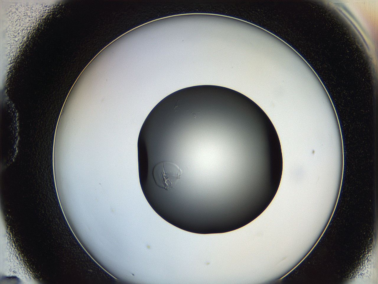 0628_D7_ImagerDefaults_0.jpg