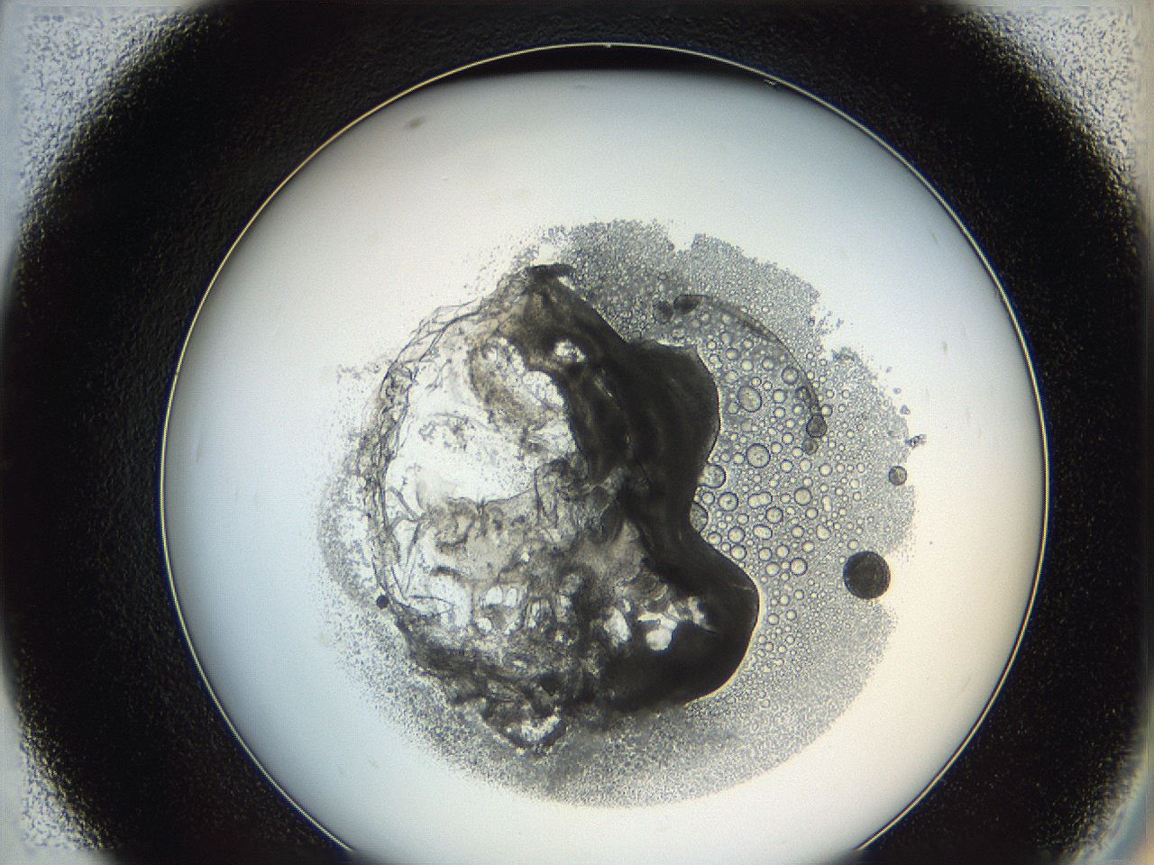 0628_D7_ImagerDefaults_5.jpg
