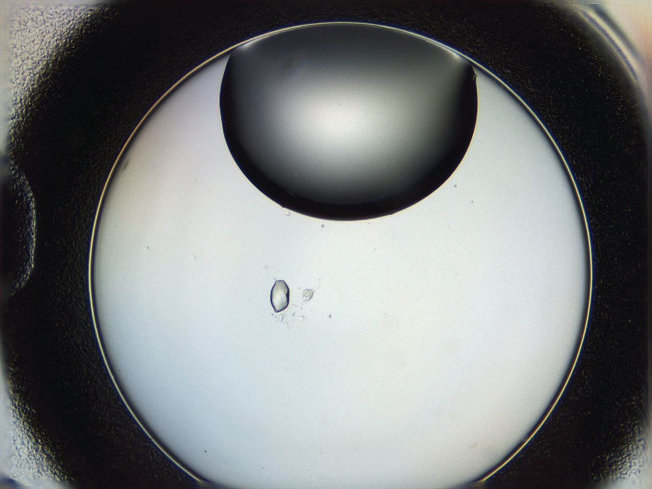 0628_D8_ImagerDefaults_0.jpg