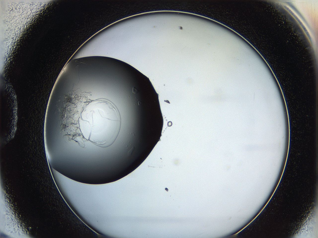 0628_D9_ImagerDefaults_5.jpg
